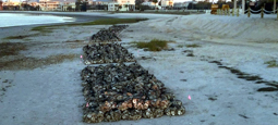 MRD Associates Living Shoreline, Oyster Breakwaters | Shell Point, Florida