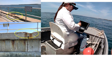 MRD lleva a cabo un análisis forense subacuático del tabique hermético de hormigón | Florida, Región de la Costa del Golfo, Estados Unidos